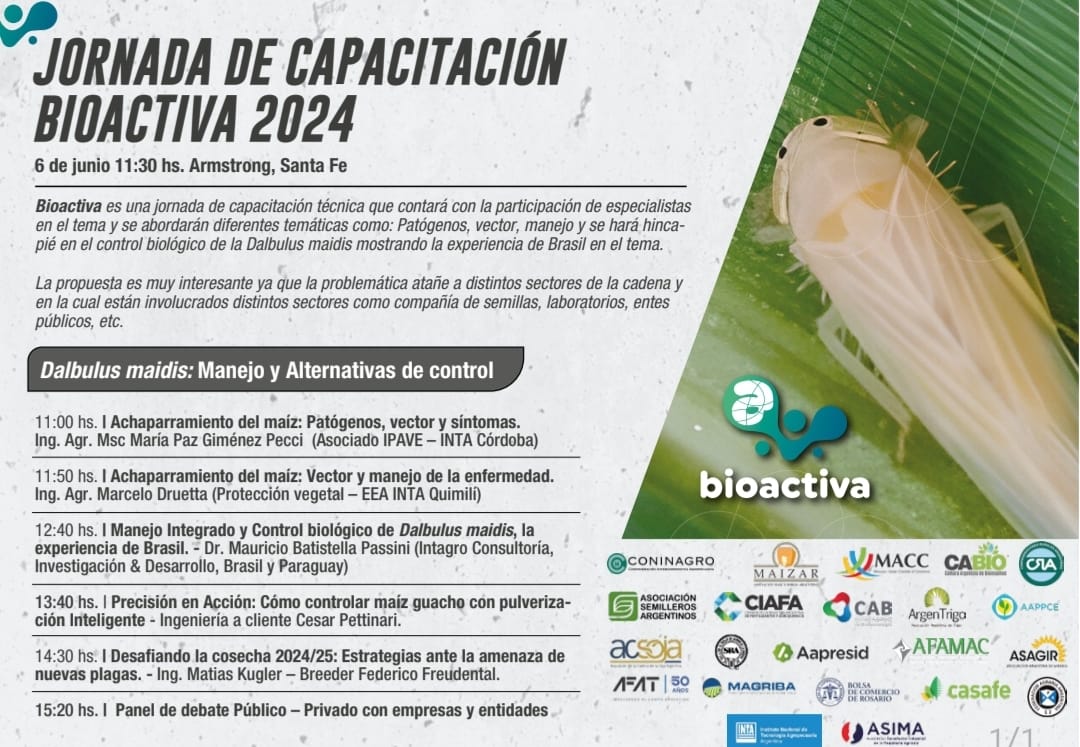AgroActiva propone un encuentro técnico para enfrentar el problema de La Chicharrita